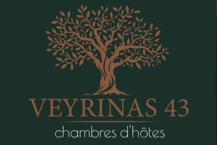 圣提里耶拉佩尔什Veyrinas 43住宿加早餐旅馆 外观 照片